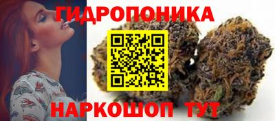 ECSTASY Рязань