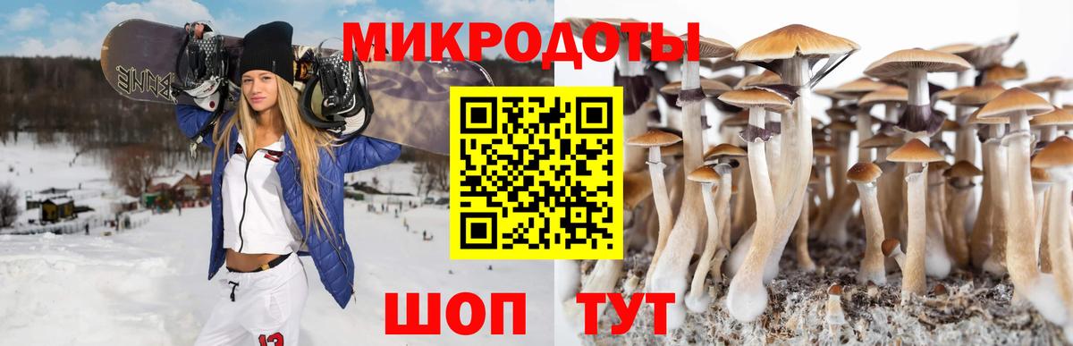 Артёмовский  Галлюциногенные грибы ЛСД  Вход с VPN 